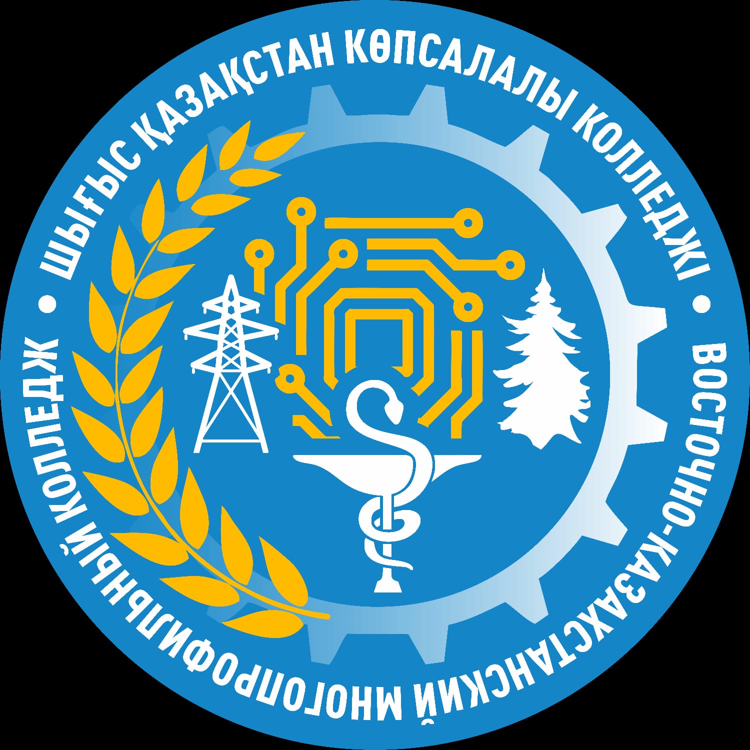 Восточно-Казахстанский многопрофильный колледж, с. Саратовка
