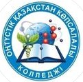 Южно-Казахстанский многопрофильный колледж