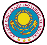 Высший многопрофильный колледж «Болашак»