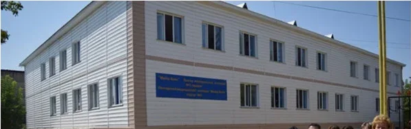 Высший медицинский колледж «Мейір-Бейс» г. Ленгер