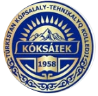 Туркестанский многопрофильно-технический колледж