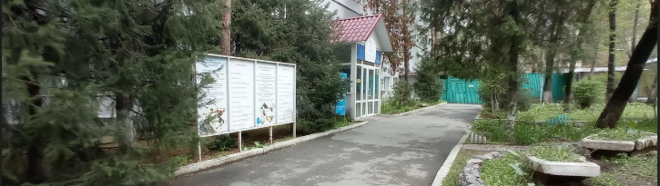 Высший медицинский колледж «Эмили» главное фото