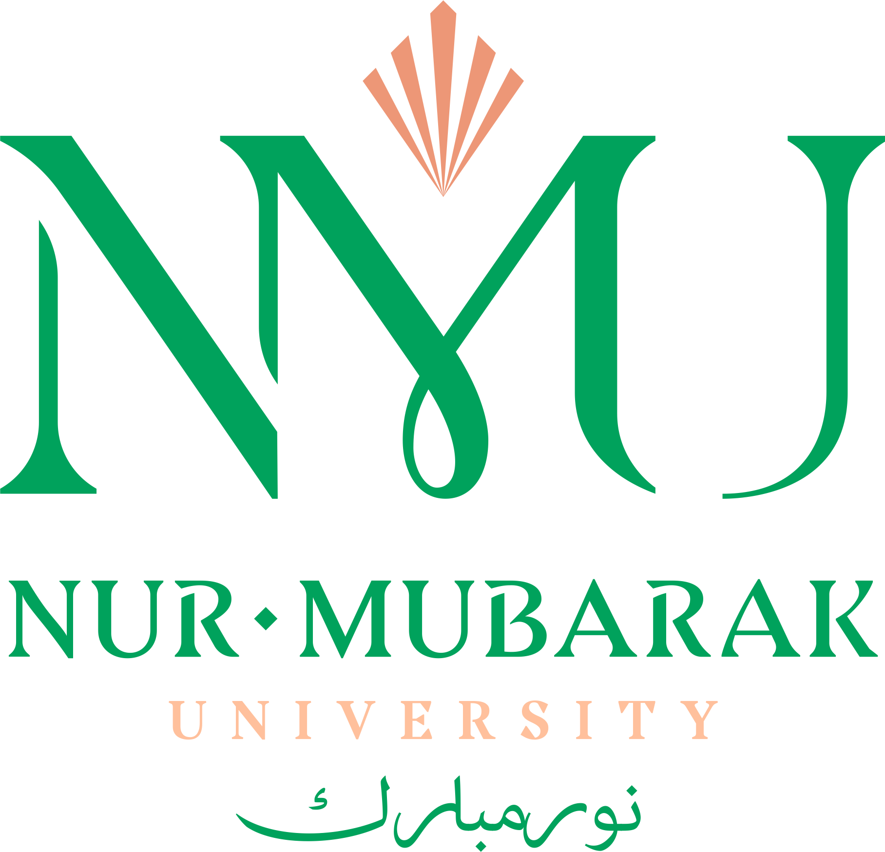 Египетский университет исламской культуры «Нур-Мубарак»